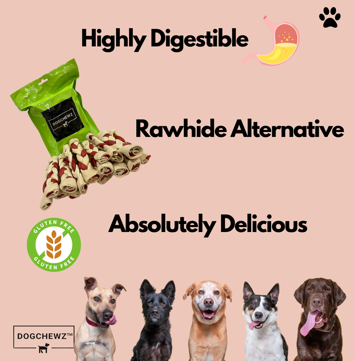 DOGCHEWZ™ Rawhide Free Braid Dog Chew Treats 5" (18 Ct/Bag) - Chicken Flavor