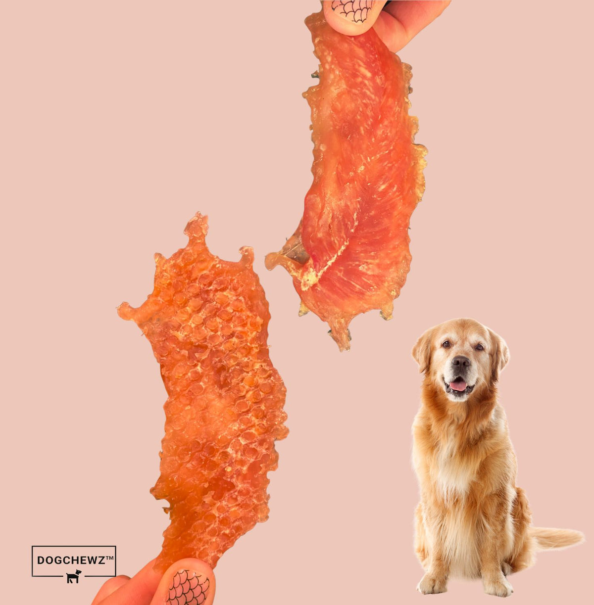 DOGCHEWZ™ Chicken Breast Tender Jerky for Dogs of All Sizes